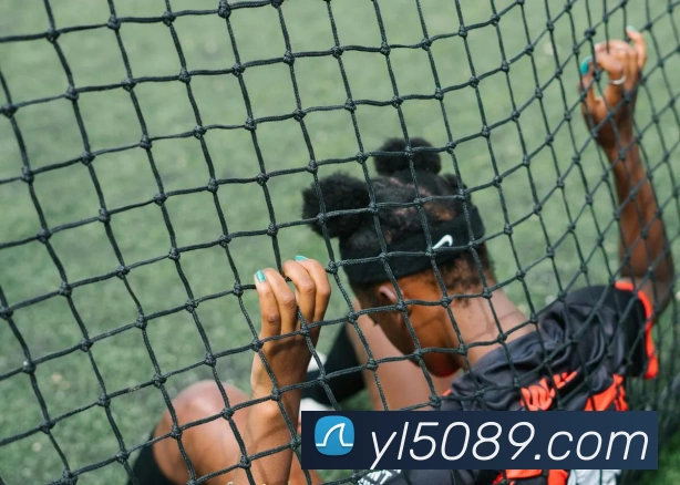 数据分析功能
